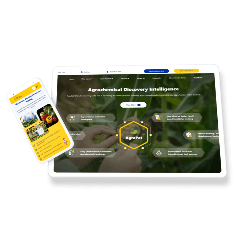 Best Web development and Software development company in udaipur india, web development ,web,responsive,ui,ux,angular15,angular17,nodejs,angularjs,javascript,bootstrap,css,html,scss,api,backend,forentenddevelopment,web3.0,website,mobileviewwebsite